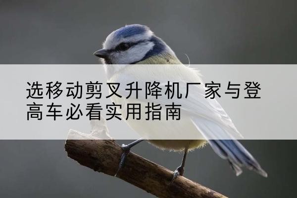 扶风电动升降机厂家-选移动剪叉升降机厂家与登高车必看实用指南