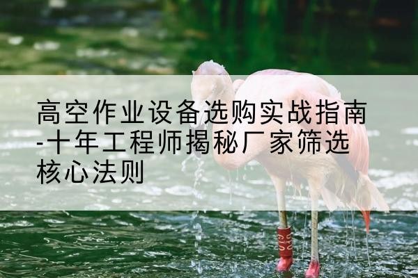 扶风剪叉式升降机厂家-高空作业设备选购实战指南-十年工程师揭秘厂家筛选核心法则