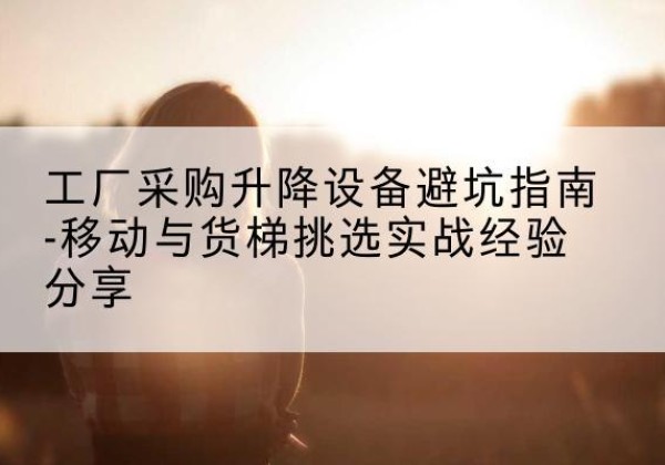 扶风移动式升降机怎么选-工厂采购升降设备避坑指南-移动与货梯挑选实战经验分享