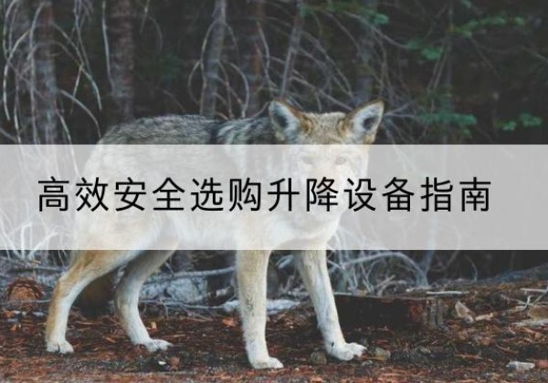 扶风升降货梯厂家推荐-*安全选购升降设备指南