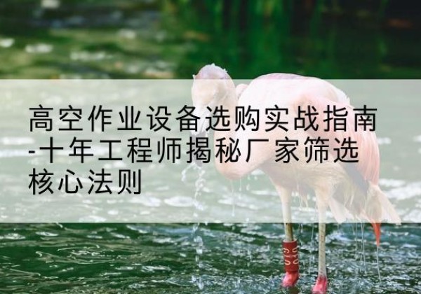 扶风剪叉式升降机厂家-高空作业设备选购实战指南-十年工程师揭秘厂家筛选核心法则