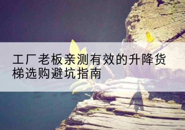 扶风升降货梯怎么选-工厂老板亲测有效的升降货梯选购避坑指南